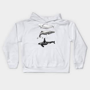 Beluga, orca and humpback whale ink Kids Hoodie